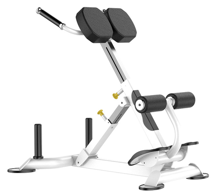 Rohs Roman Chair جهاز تمارين تمديد الظهر للجيم