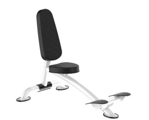 Rohs Roman Chair جهاز تمارين تمديد الظهر للجيم