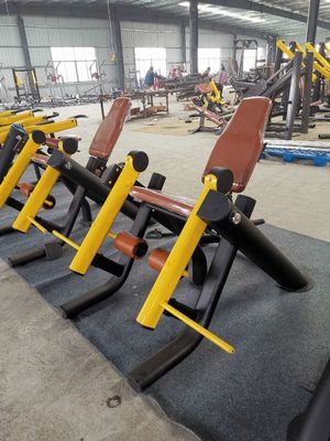 تمديد الساق معدات الصالة الرياضية الوزن الحر D الشكل أنبوب ISO الجانبي الركوع الضفيرة الساق