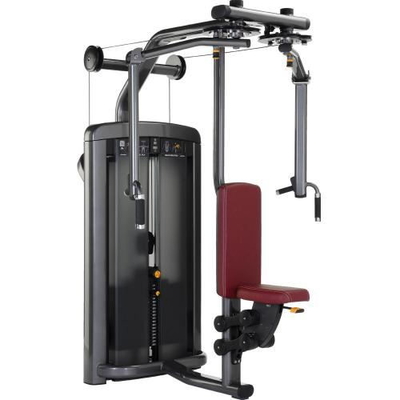 Pec Fly New Life معدات اللياقة البدنية Delt Machine Gym مسحوق الطلاء
